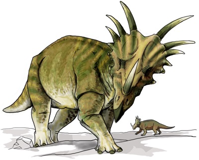 Styracosaurus 7